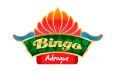 Bingo